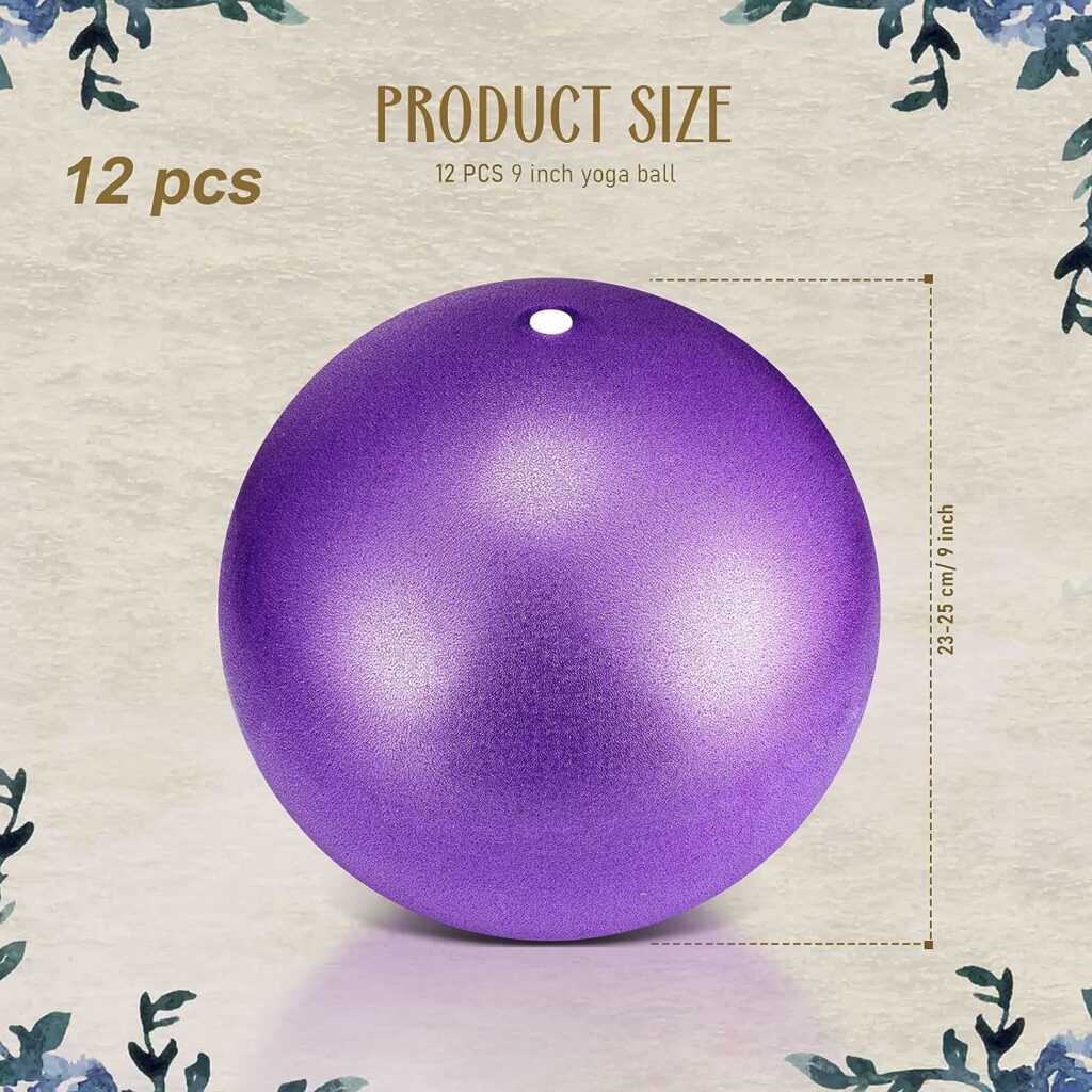 Hungdao 12 Pcs Pilates Mini Exercise Ball 9 Inch Yoga Ball for Yoga Classroom Workout Ball Core Ball Barre Ball for Bender Training Physical Therapy Balance Stability Stretching