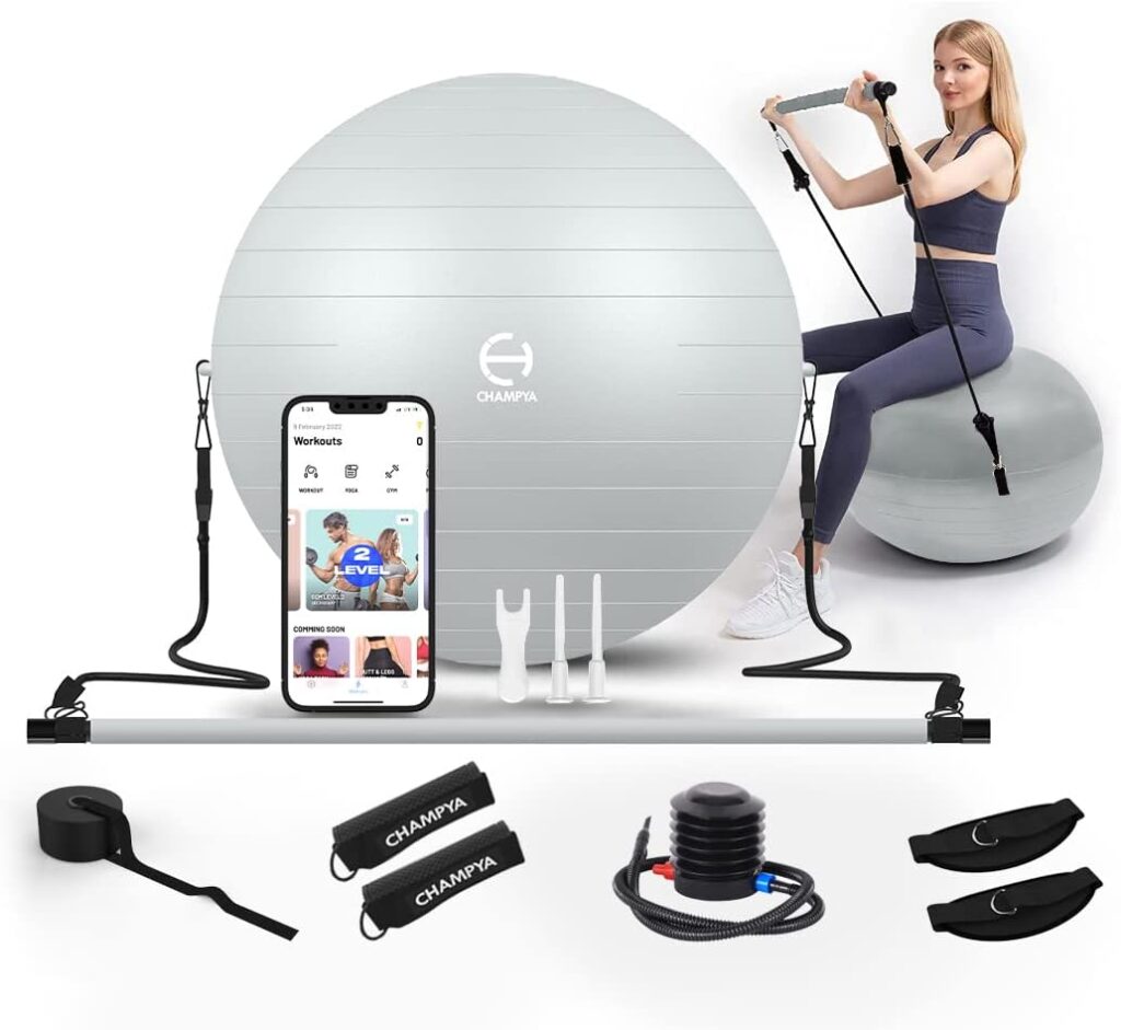 𝗖𝗛𝗔𝗠𝗣𝗬𝗔 𝗘𝘅𝗲𝗿𝗰𝗶𝘀𝗲 𝗕𝗮𝗹𝗹 for Working Out 65 cm - Yoga Ball Chair  Balance Ball for Pregnancy, Birthing Physical Therapy  Chair for Office - Stability Ball  Stainless Steel Pilates Bar for Workout