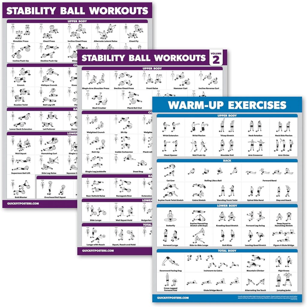 Palace Learning 3 Pack - Yoga Ball Workout Exercises Volume 1  2 + Warm Ups - Stability Ball Routine - Fitness Charts